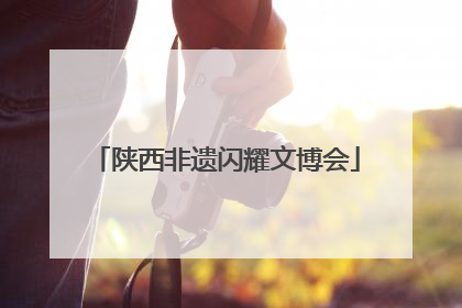 陕西非遗闪耀文博会