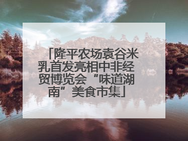 隆平农场袁谷米乳首发亮相中非经贸博览会“味道湖南”美食市集