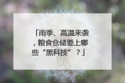 雨季、高温来袭，粮食仓储要上哪些“黑科技”？