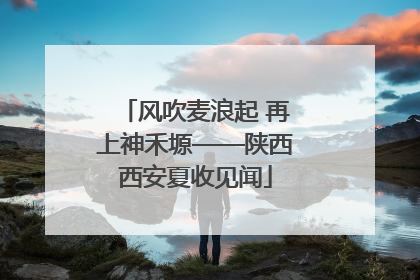 风吹麦浪起 再上神禾塬——陕西西安夏收见闻