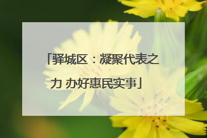 驿城区：凝聚代表之力 办好惠民实事
