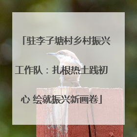 驻李子塘村乡村振兴工作队：扎根热土践初心 绘就振兴新画卷