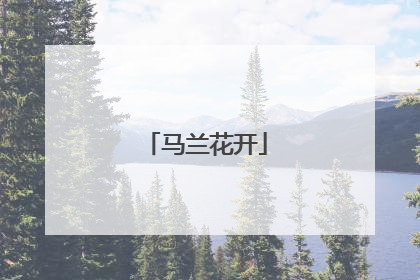 马兰花开