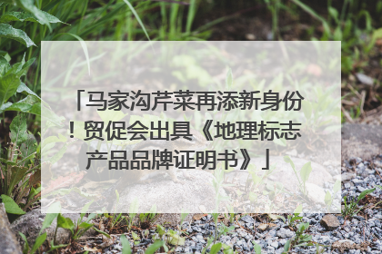 马家沟芹菜再添新身份！贸促会出具《地理标志产品品牌证明书》