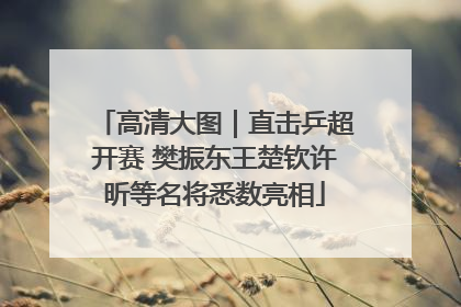高清大图｜直击乒超开赛 樊振东王楚钦许昕等名将悉数亮相