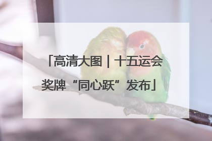 高清大图｜十五运会奖牌“同心跃”发布