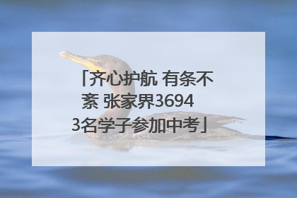 齐心护航 有条不紊 张家界36943名学子参加中考