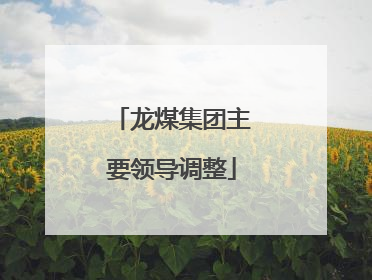 龙煤集团主要领导调整