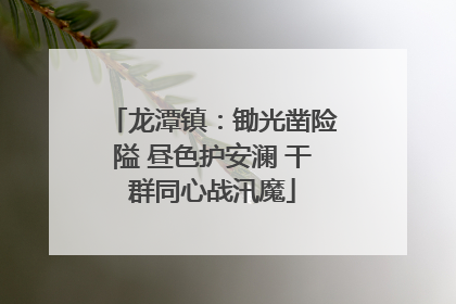 龙潭镇：锄光凿险隘 昼色护安澜 干群同心战汛魔