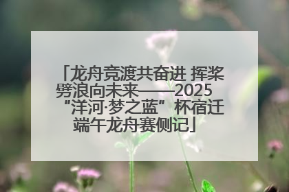 龙舟竞渡共奋进 挥桨劈浪向未来——2025“洋河·梦之蓝”杯宿迁端午龙舟赛侧记