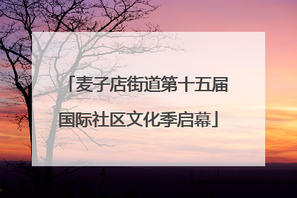 麦子店街道第十五届国际社区文化季启幕