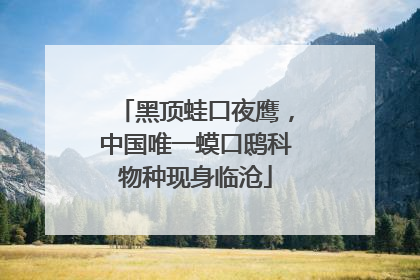 黑顶蛙口夜鹰，中国唯一蟆口鸱科物种现身临沧