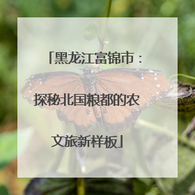 黑龙江富锦市：探秘北国粮都的农文旅新样板