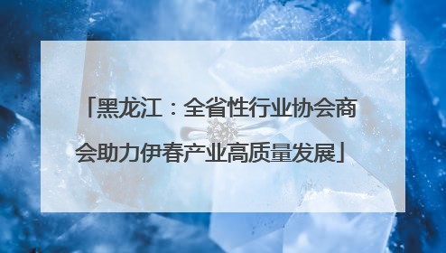 黑龙江：全省性行业协会商会助力伊春产业高质量发展