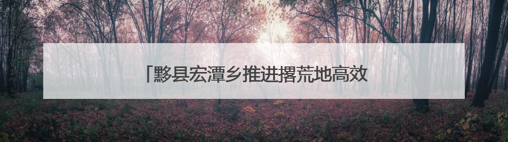 黟县宏潭乡推进撂荒地高效整治 绘就乡村振兴新画卷