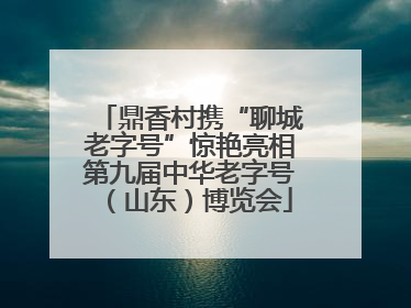 鼎香村携“聊城老字号”惊艳亮相第九届中华老字号（山东）博览会