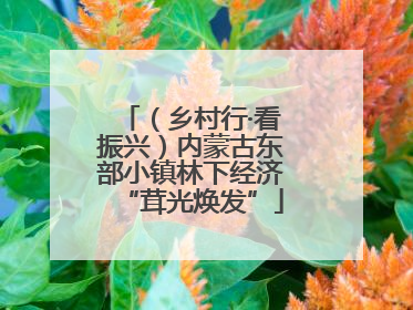 （乡村行·看振兴）内蒙古东部小镇林下经济“茸光焕发”