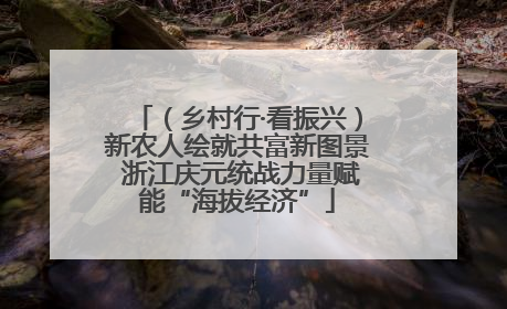 （乡村行·看振兴）新农人绘就共富新图景 浙江庆元统战力量赋能“海拔经济”