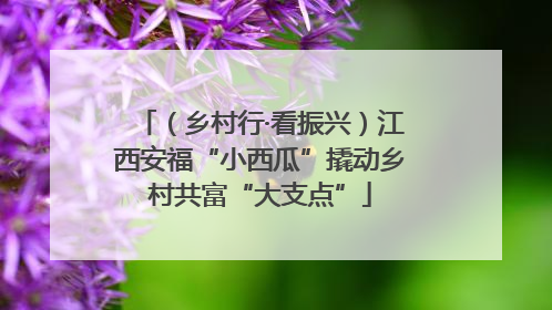 （乡村行·看振兴）江西安福“小西瓜”撬动乡村共富“大支点”