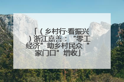 （乡村行·看振兴）浙江嘉善：“零工经济”助乡村民众“家门口”增收