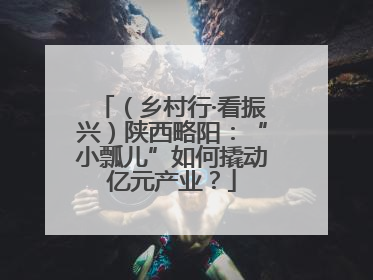 （乡村行·看振兴）陕西略阳：“小瓢儿”如何撬动亿元产业？