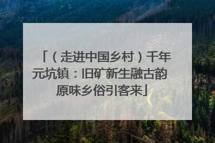 （走进中国乡村）千年元坑镇：旧矿新生融古韵 原味乡俗引客来