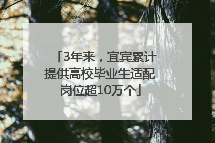 3年来，宜宾累计提供高校毕业生适配岗位超10万个