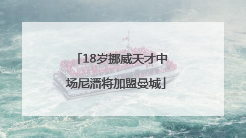 18岁挪威天才中场尼潘将加盟曼城