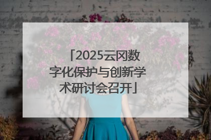 2025云冈数字化保护与创新学术研讨会召开