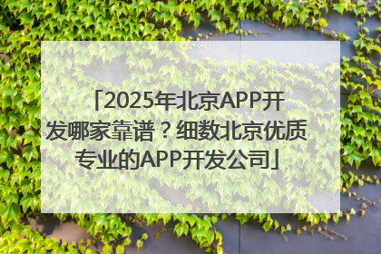 2025年北京APP开发哪家靠谱？细数北京优质专业的APP开发公司