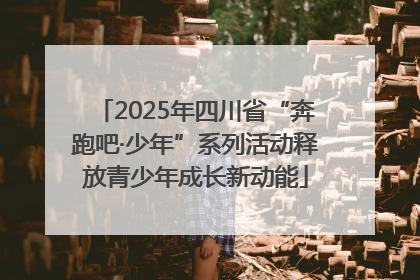 2025年四川省“奔跑吧·少年”系列活动释放青少年成长新动能