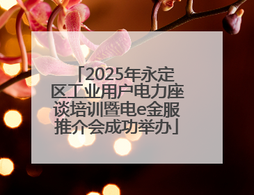 2025年永定区工业用户电力座谈培训暨电e金服推介会成功举办