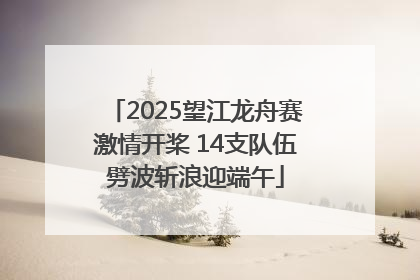 2025望江龙舟赛激情开桨 14支队伍劈波斩浪迎端午