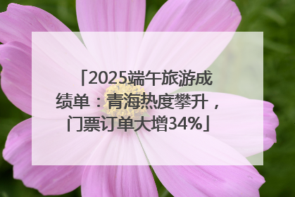 2025端午旅游成绩单：青海热度攀升，门票订单大增34%