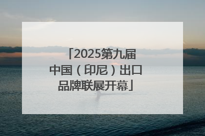 2025第九届中国（印尼）出口品牌联展开幕