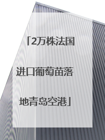 2万株法国进口葡萄苗落地青岛空港