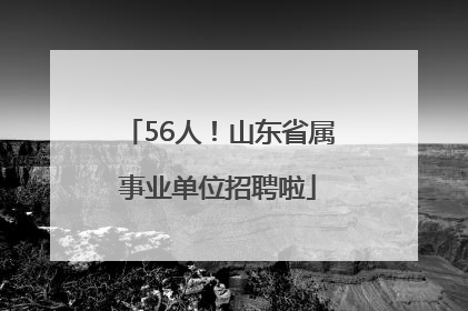 56人！山东省属事业单位招聘啦