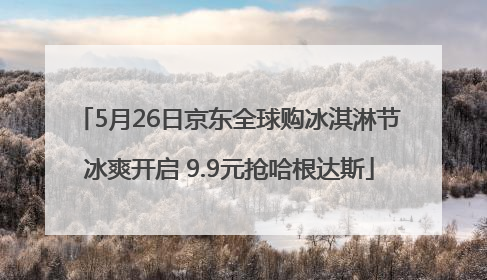 5月26日京东全球购冰淇淋节冰爽开启 9.9元抢哈根达斯