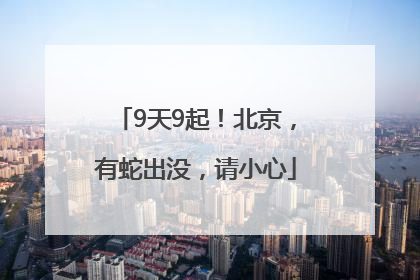 9天9起！北京，有蛇出没，请小心