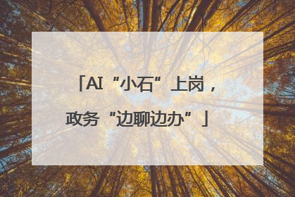 AI“小石”上岗，政务“边聊边办”