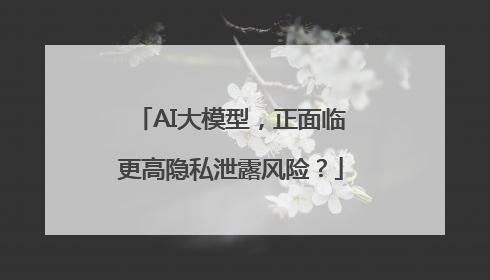 AI大模型，正面临更高隐私泄露风险？