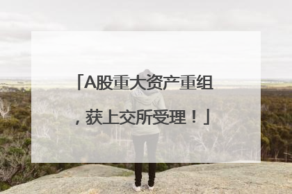 A股重大资产重组，获上交所受理！