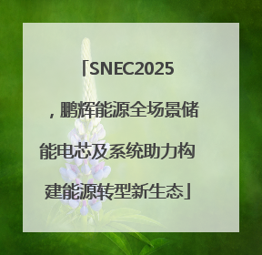 SNEC2025，鹏辉能源全场景储能电芯及系统助力构建能源转型新生态
